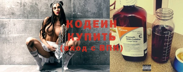 гашик Осинники